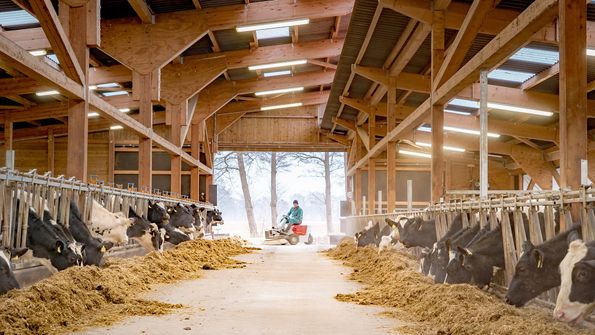 landwirtschaftliche Bauten